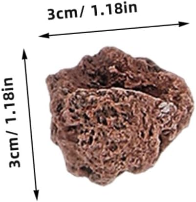 Angoily 1 Set Geology Kit Rock Specimens for Classroom Home Learning Includes Pumice Granite Marble Sandstone Fossils More Rock Identification Tool for Young Geologists