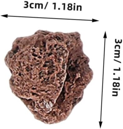 Angoily 1 Set Geology Kit Rock Specimens for Classroom Home Learning Includes Pumice Granite Marble Sandstone Fossils More Rock Identification Tool for Young Geologists