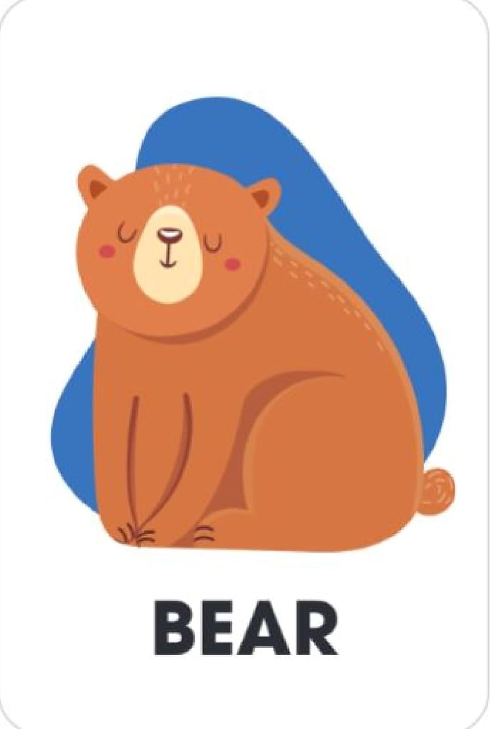Alphabet Flash Cards (Flash Card Series)