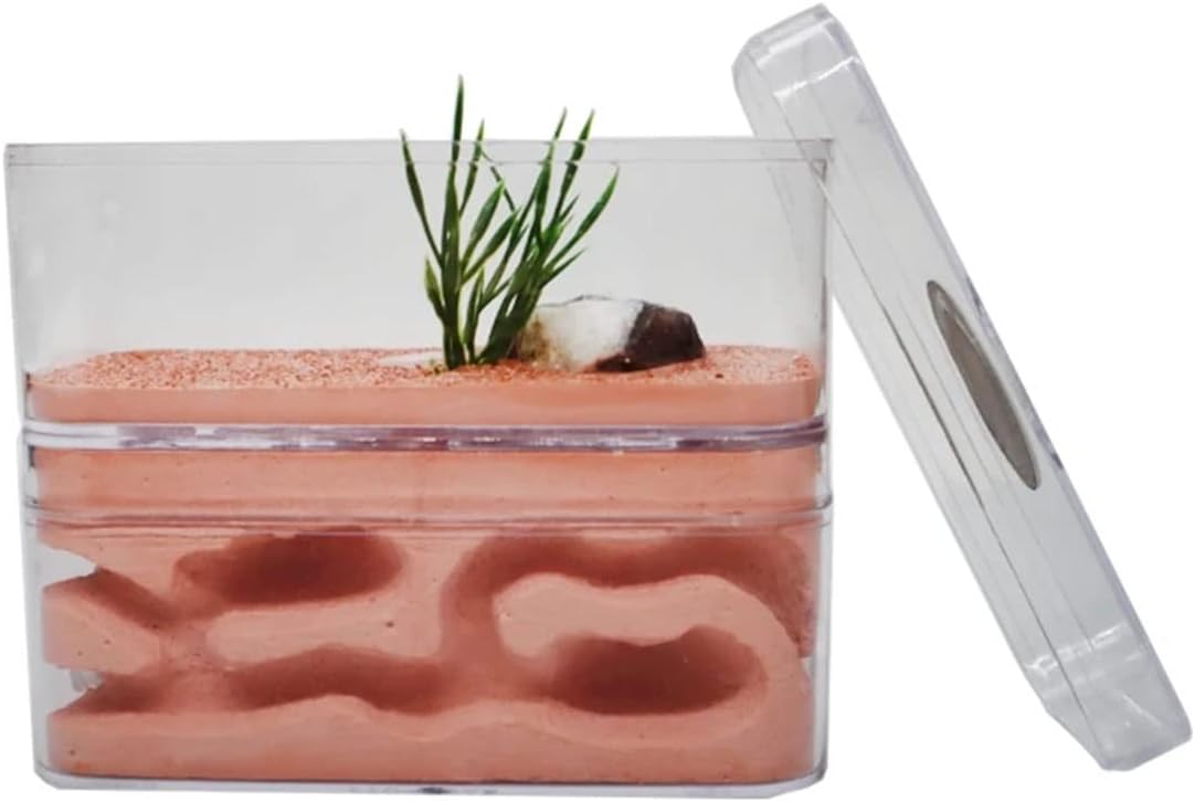 YKLL Ant Farm Highly Moisturizing Ant Nest Ant Farm Plaster Insect Box Pet Anthill Castle Natural Ecological Workshop Ant House 12 * 6 * 10cm Unique Gifts