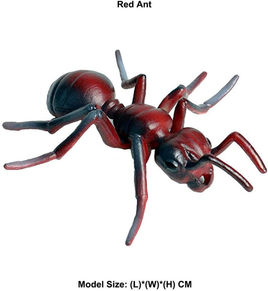 Realistic Animal Figures Red Ant Figurines Insect Toy, Science Project, Cake Topper, Early Educational Toys Birthday for Toddlers Kids Age 3 4 5