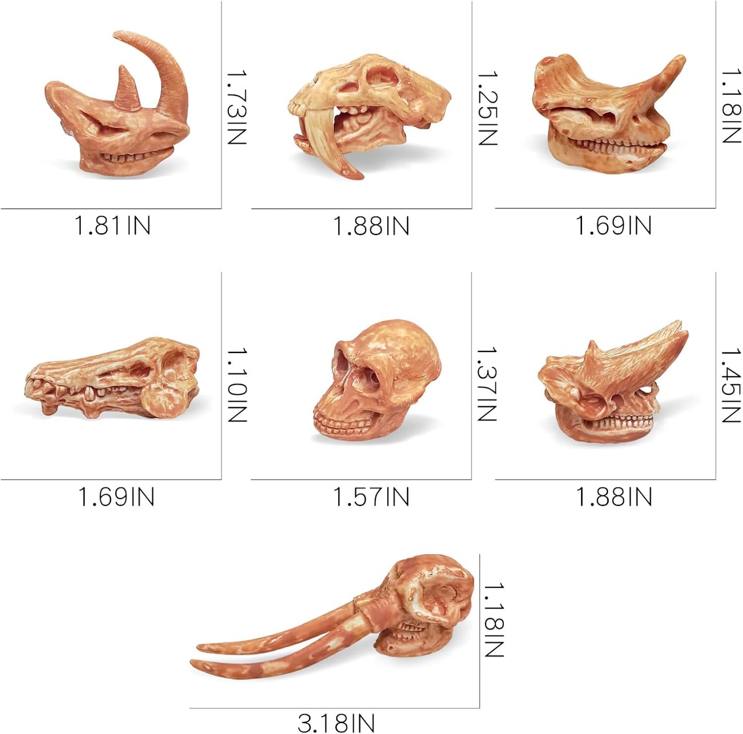 LC JoyCre Mini Dinosaur Bones for Kids Sandbox Toys - Realistic Fake Dinosaur Bones for Kids to Dig Up