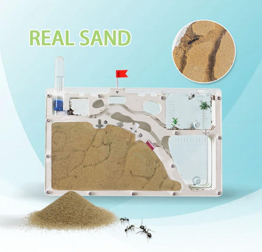 ELNMLHT Ant Farm Castle, Ant Farms with Yellow Sand and Tool Kit, Ant Colony Observation Kit, Ant Viewing Habitat Science Kit, Educational & Learning Science Kit for Kids, Adults, Student (Ant Farm B)