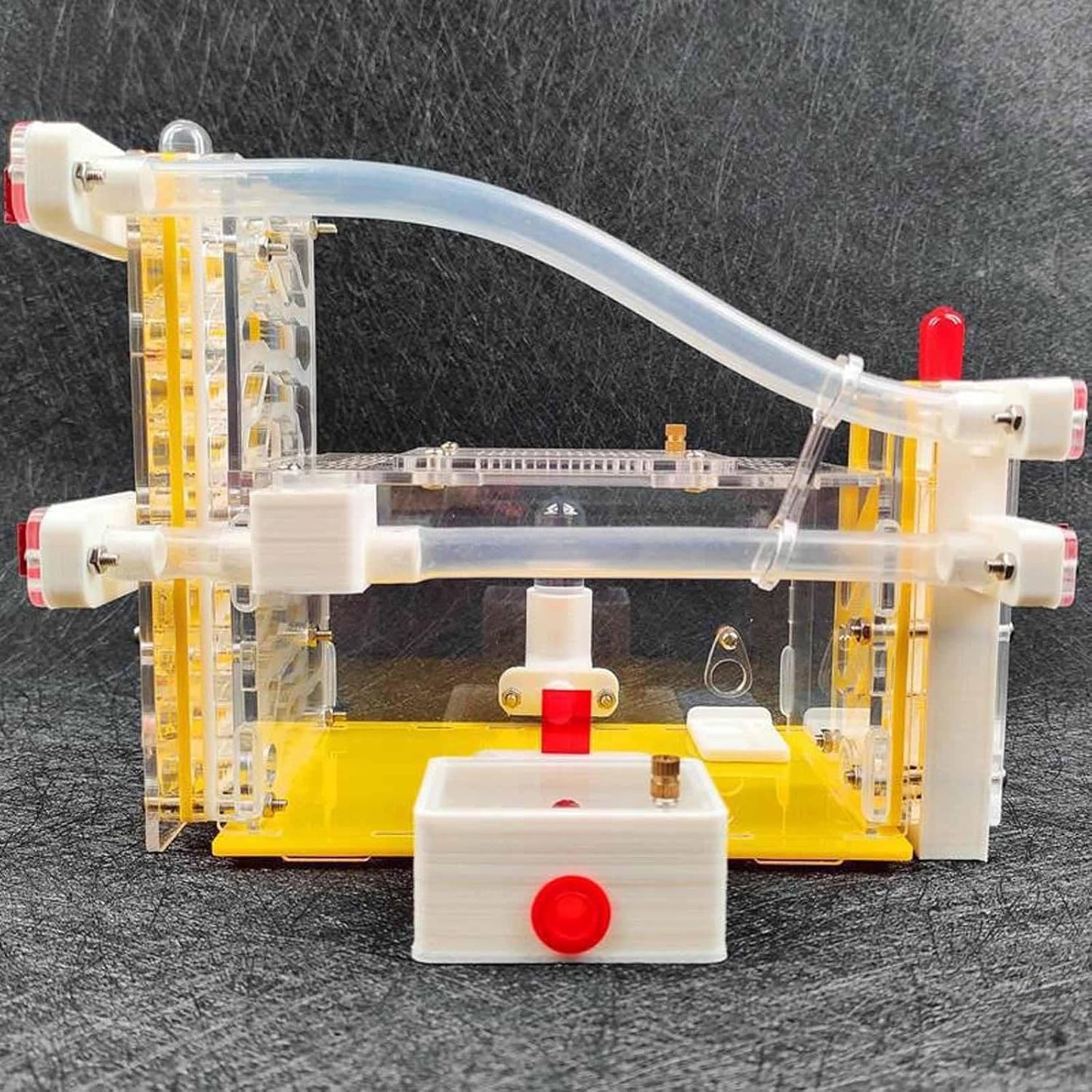 DIY ANT Farm Castle Observation ANT Viewing Habitat for Home Students