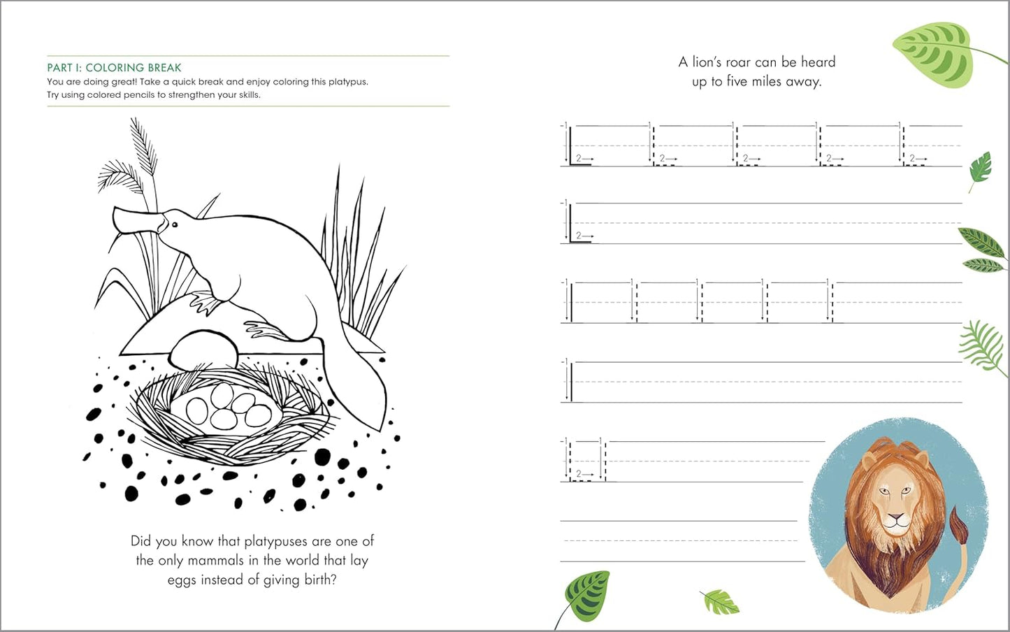 The Print Penmanship Workbook for Kids: Improve Your Handwriting with Fun Animal Facts