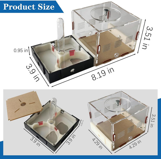 Ant Farm Nest Science DIY Terrarium Kit Care for Live Ants Ant Habitat with Water Tower Nurturing Room and Comprehensive Observation
