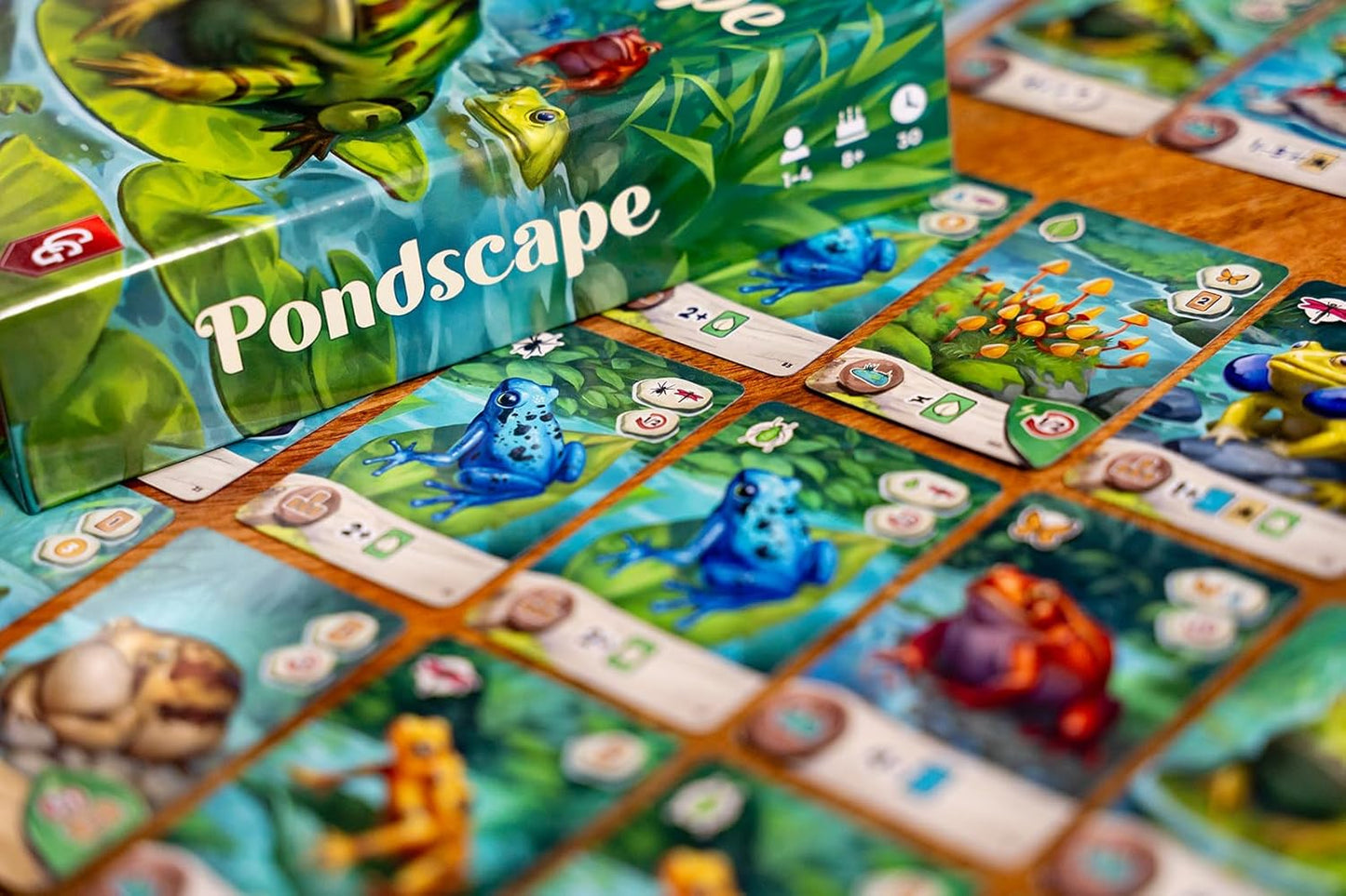 Pondscape, Cozy Family Strategy Card Game for Kids and Adults – for 1–4 Players, Ages 8+ – Family Games Night Essential