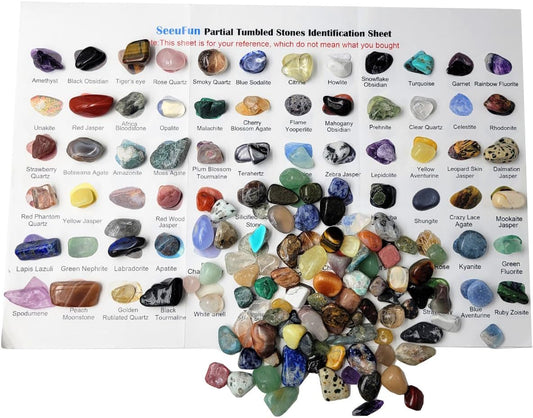 60Kinds+ Gemstones and Crystals Set,Bulk Tumbled Chips Crystals for Jewelry Making,Crushed Stones Rocks and Minerals Science Kit (0.55lb(60-65types))