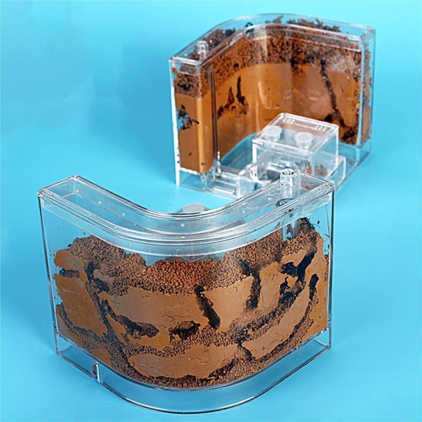Ant Habitat Ant Farm Ant Castle Ant Castle Filled Clay Sand Ant Farm Ant Nest Habitat Professional Ant Nest Farm Ant Nest Ant House Ant Nest Farm(1pcs), Clear