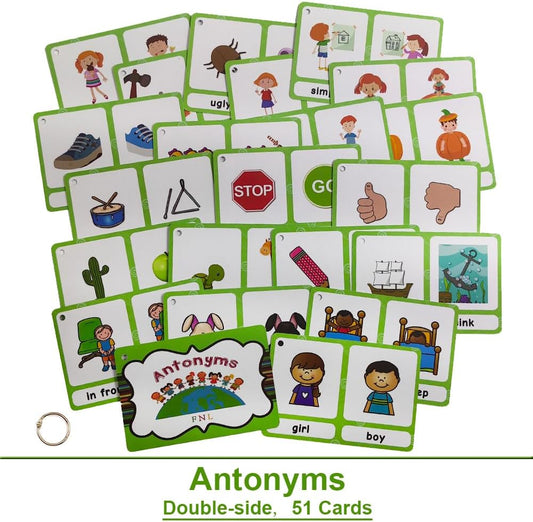 Lilias Irregular Past Tense Verbs English Grammar Double-Side Learning Flash Cards - 24 Card Set for Homeschool, Preschool, Primary School, ESL, Autism, Vocabulary Building