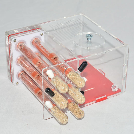 ANT Housing Nest ANT Farm Clear DIY Supplies Compact Workshop Habitat for Childrens Day Living Room Tabletop Bedroom Kitchen, 1.5cm