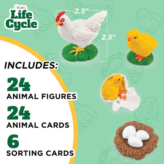 Life Cycle Animal Kit - Montessori Science Toy with 24-Piece Matching Game, Butterfly, Frog, Chicken, Bee, Ladybug and Turtle STEM Educational Gift, Easter Basket fillers for Kids Ages 3-8