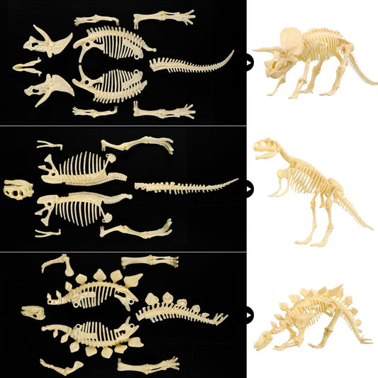 NUOLUX 3Pcs 4D Dinosaur Fossil Skeleton Toys DIY for Kids Fossil Skeleton Figure