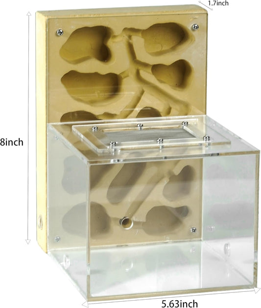 Ant Farm for Live Ants - Large Viewing Area - Natural Learning