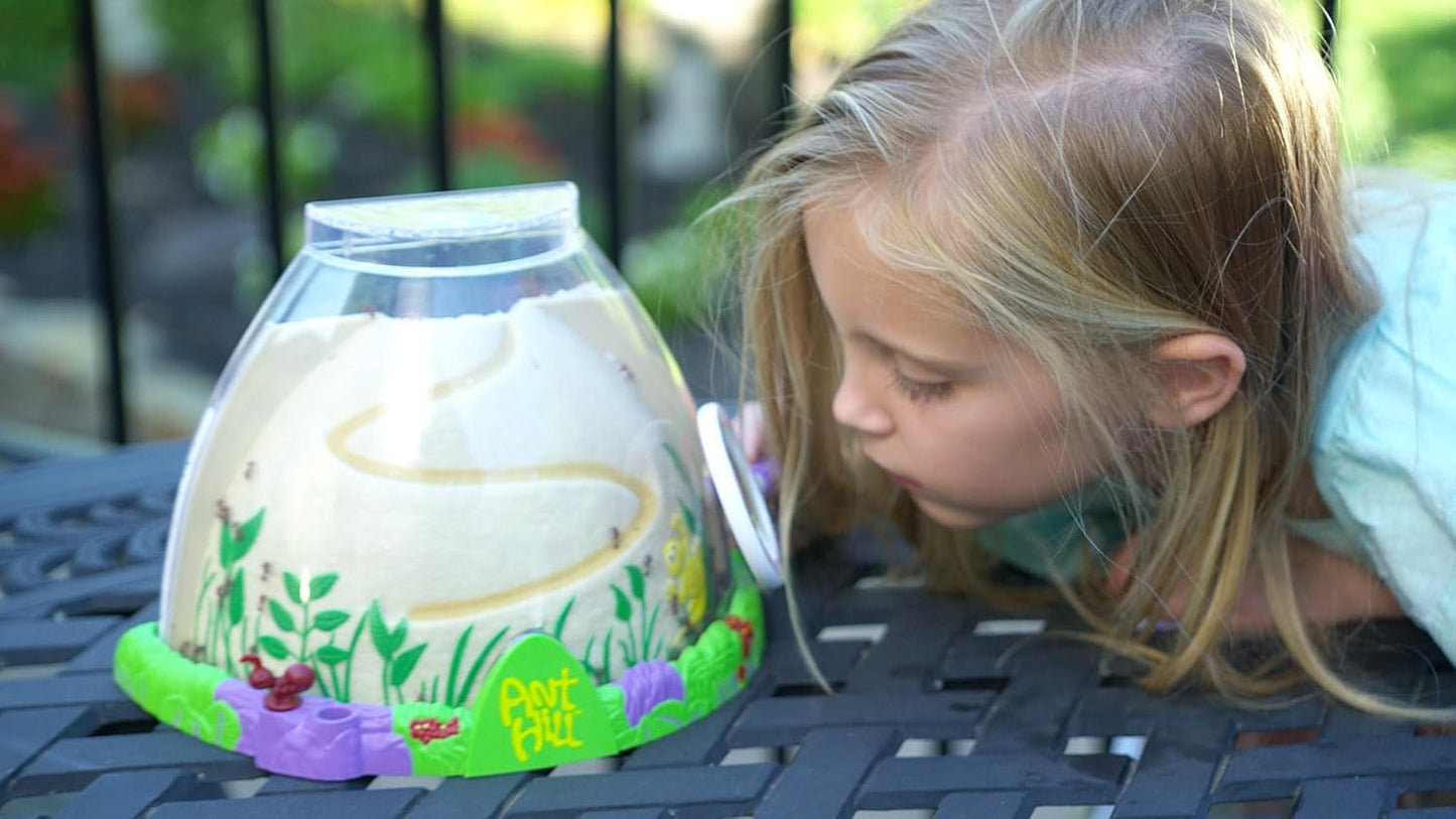 Insect Lore Ant Hill - Ant Habitat with Voucher to Redeem Live Western Harvester Ants - STEM Learning and Education Project for Classrooms or Homeschool