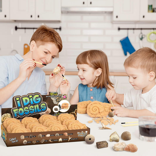 Gamerside Mineral Mining Kit Gem Dig Kit,Rock Dig Kit Dig up 12 Rock & Mineral Collection Gemstones & Crystals Diamond Mining Kit for Kids Gemology Mining Gift Rocks Minerals for Boys Girls