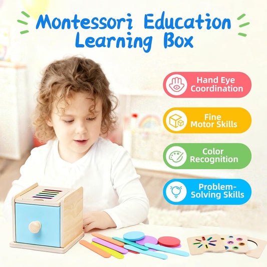 Montessori Toys for 1 2 3 Year Old, 4-in-1 Wooden Montessori Coin Box, Object Permanence Ball Drop Learning Color Sorting Toys for Toddlers 1-3, Gifts for 18 Months Baby Boys Girls