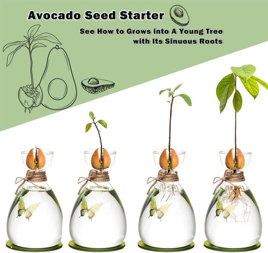 Avocado Seed Vase,DIY Avocado Seed Starter Glass Vase with Absorbable Mat and Butterfly Stickers,Avocado Tree Growingredients Vase for Seed Gardening Gifts Sirensky Brand