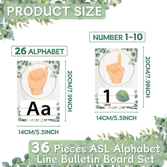 36PCS Eucalyptus ASL Alphabet Line Bulletin Board Set ABC Number Sign Language Flash Cards Alphabet Posters Learning American Sign Language Poster Classroom Wall Decor for Pre-School Home Toddler Kids