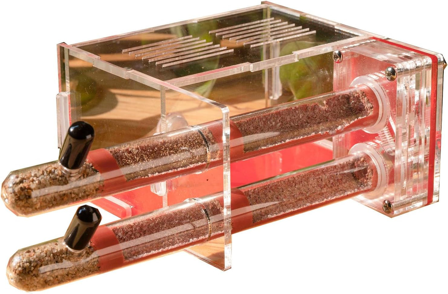 Plaster Test Tube Adult ant Farm Acrylic Transparent ant Observation Behavior Study Live Ants and Queen Education ant nest Small Colony breeding Area Suitable for Children and Enthusiasts Gift