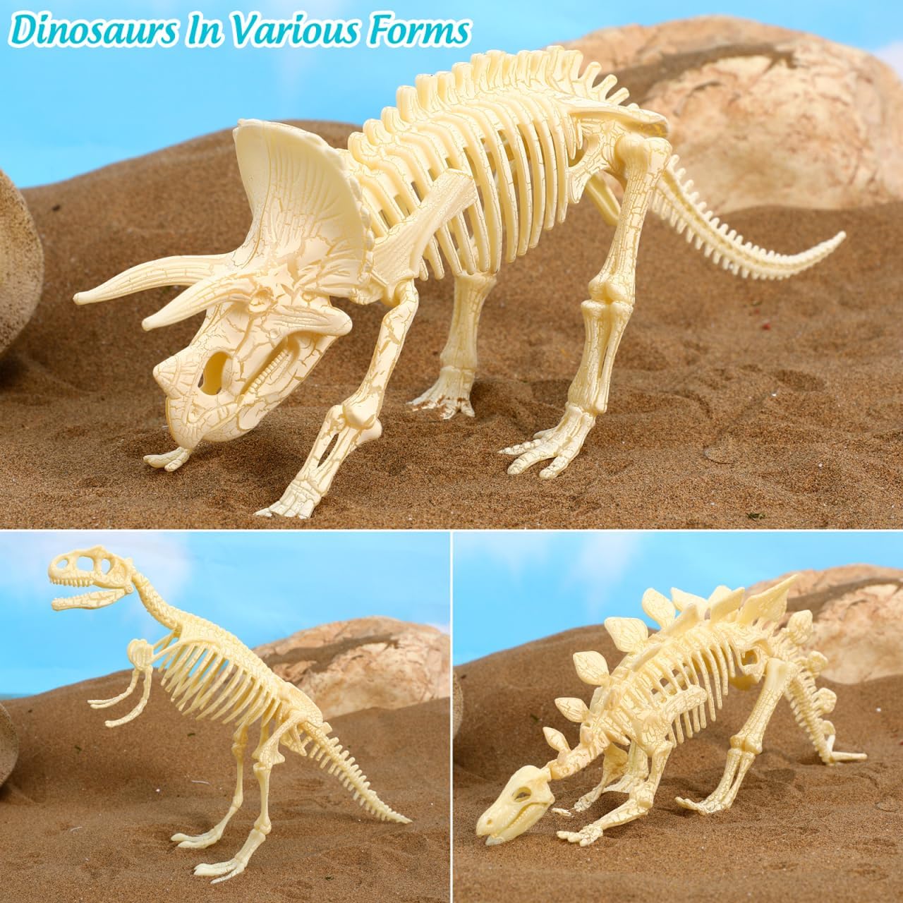 NUOLUX 3Pcs 4D Dinosaur Fossil Skeleton Toys DIY for Kids Fossil Skeleton Figure