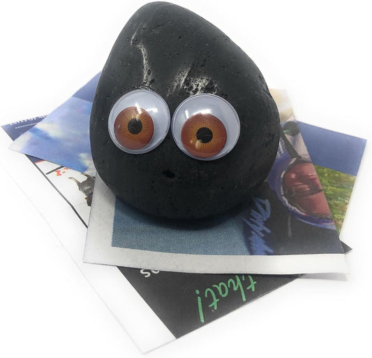 Rock Pet Adoption Kit Funny Novelty Gag Gift (Green Eyes)