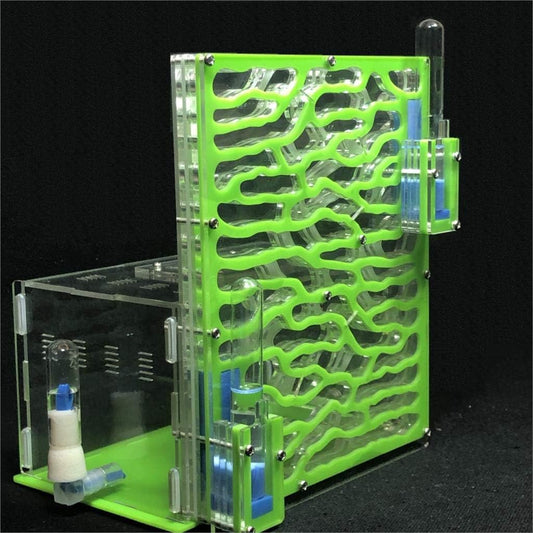 19.5 * 15 * 22cm Large Viewing Area - Care for Live Ants,moisturing arylic ant Habitat for STEM Learning (Green)