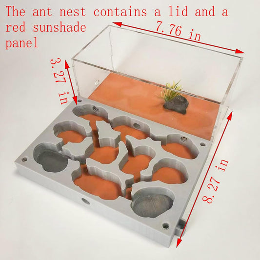 Gypsum Ant Farm New Queen's Nest Acrylic Transparent Ant Observation Behavior Research Live Ants and Queen's Education Ant Nest Suitable for Children and Enthusiasts Gift Giving