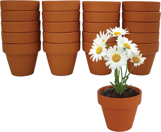 BUZZY Seeds Terracotta Mini Grow Pots – Herb Flower Plant Starter Kit Assorted 20-Pack with Lavender Seeds, Indoor Grow Your Own Gardening Gift for DIY Projects and Party Favors
