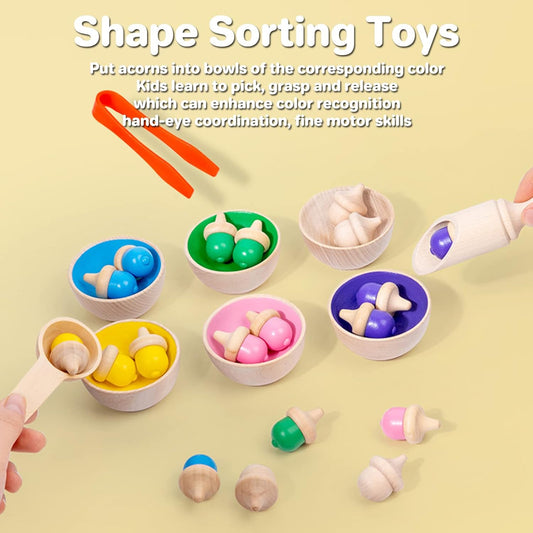 Wooden Color Sorting Toys for Toddlers - Montessori Counting Game with 6 Bowls & 20 Weighted Acorns - DIY Unpainted Pieces - Premium Educational Set with Tweezers, Spoon, Scoop & Bag - Kids 3+