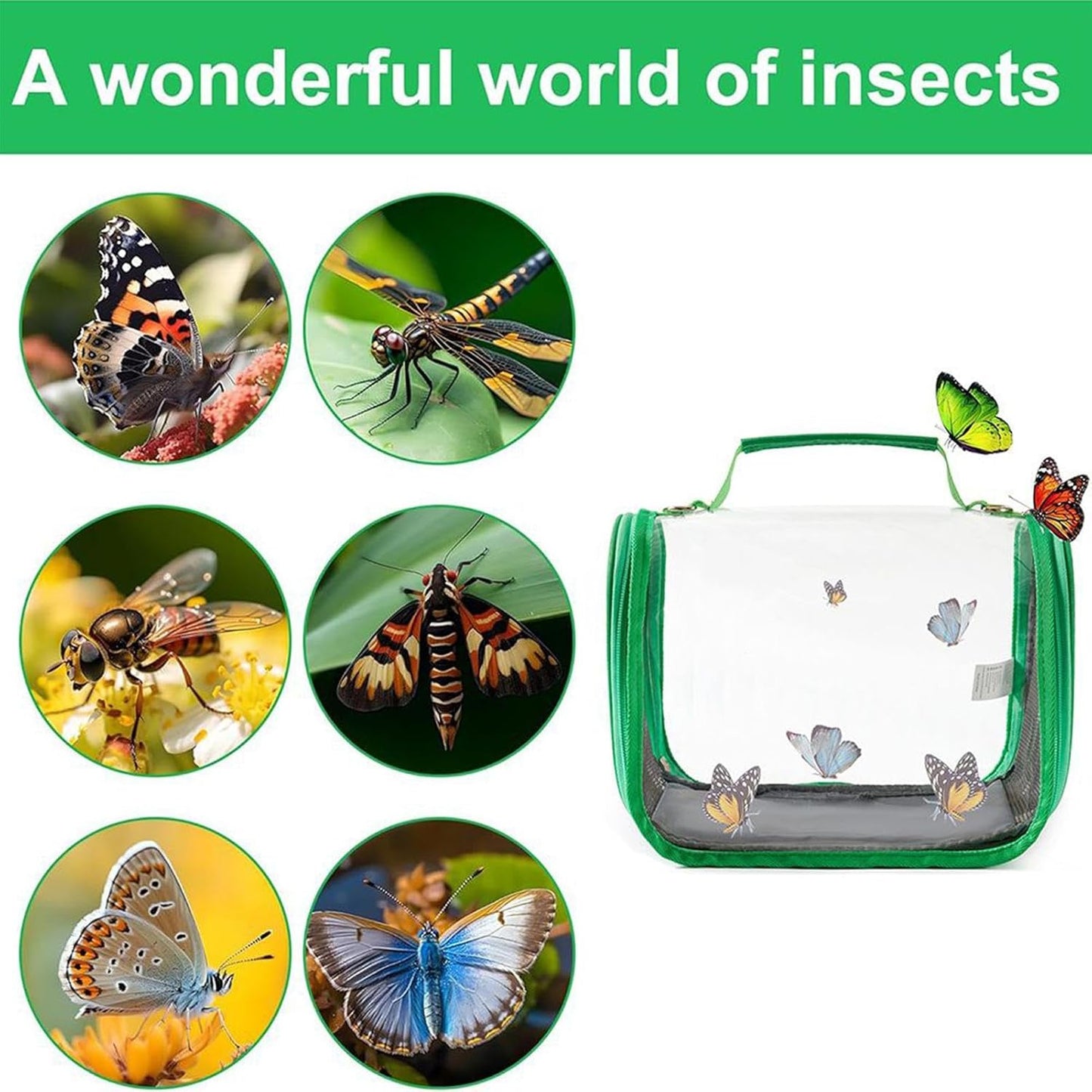 Butterfly Habitat Cage, Foldable Clear Mesh, 26x19x19.5cm, Butterfly Habitat Net, Transparent View Terrarium, Caterpillar Growing House, for Kids, Adults, Family