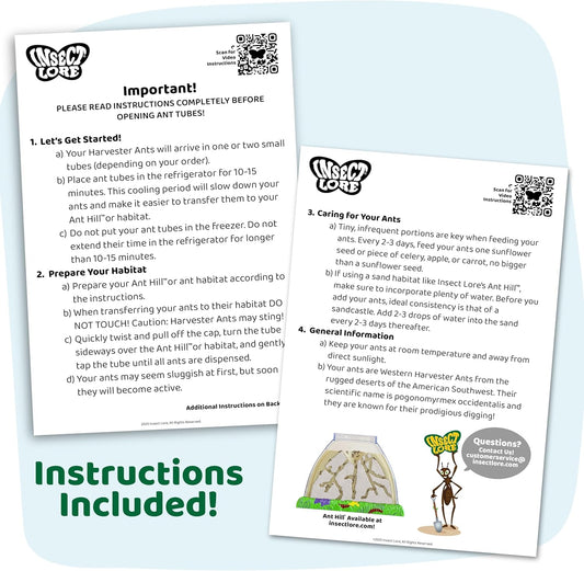 Insect Lore 100 Native Western Harvester Ants - Grown in The USA - Ant Habitat Refill - Includes Wildflower Seeds