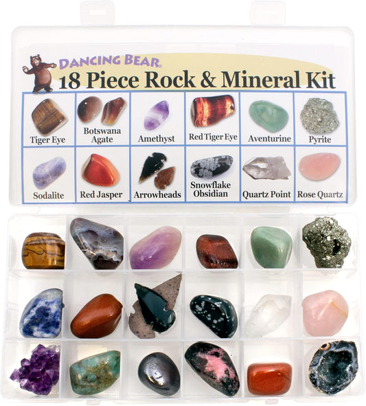 DANCING BEAR 18 Pc Rock and Mineral Educational Collection & Deluxe Collection Box with Description Sheet and Educational Information. Limited Edition, Geology Gem Kit for Kids with Display Case