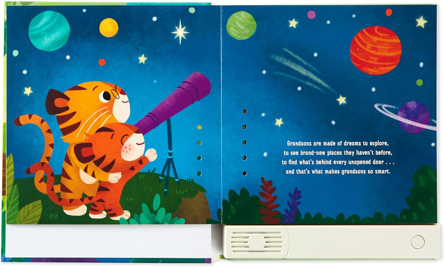 Hallmark Recordable Book for Children (What are Grandsons Made of?) Easter Basket Stuffers