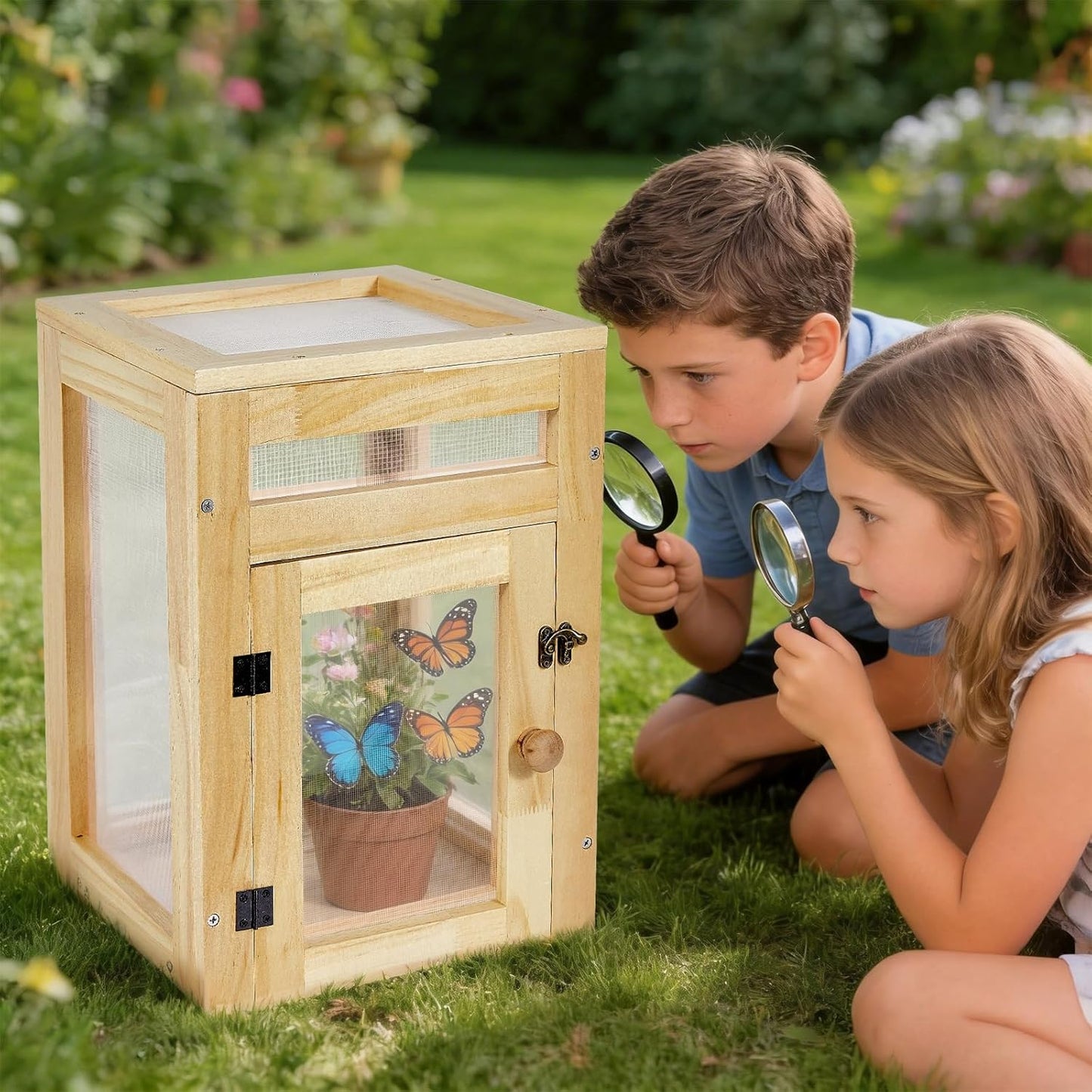 Small Butterfly Growing Kit - Butterfly Habitat Cage Kit