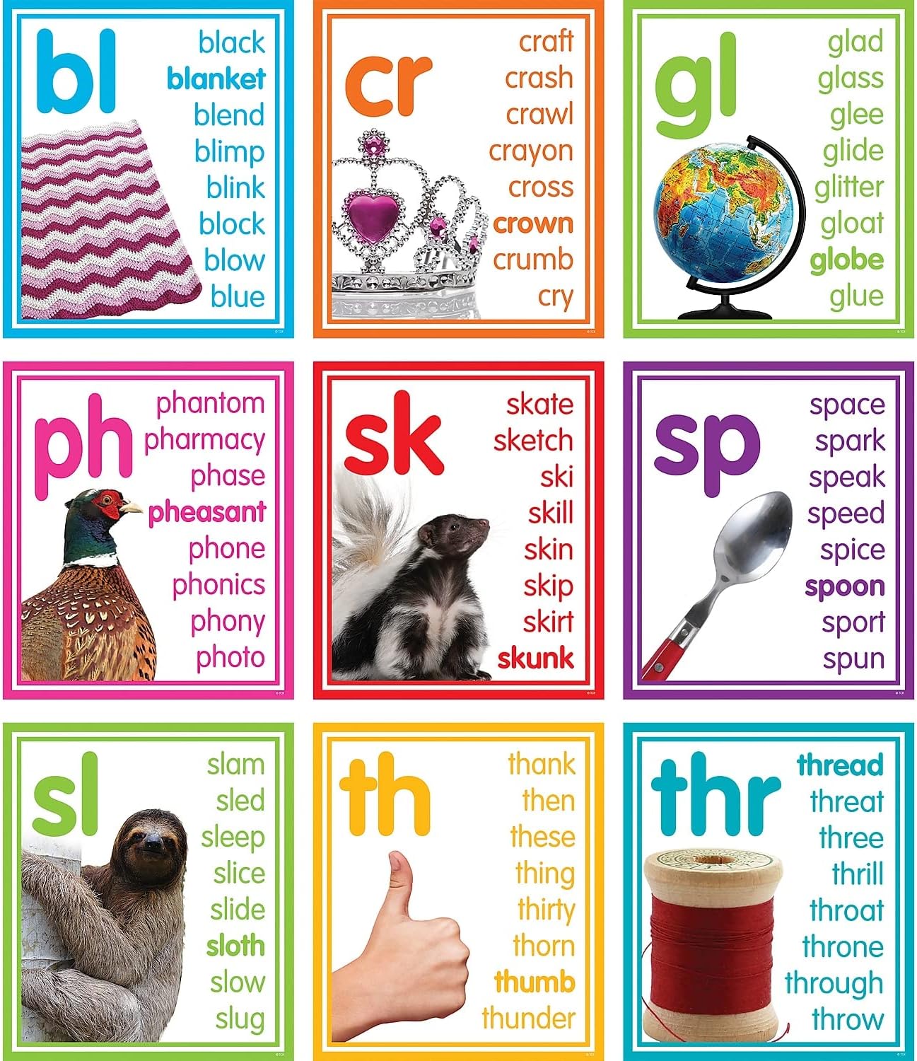 Teacher Created Resources Colorful Photo Cards Digraphs and Blends Bulletin Board (TCR8503)