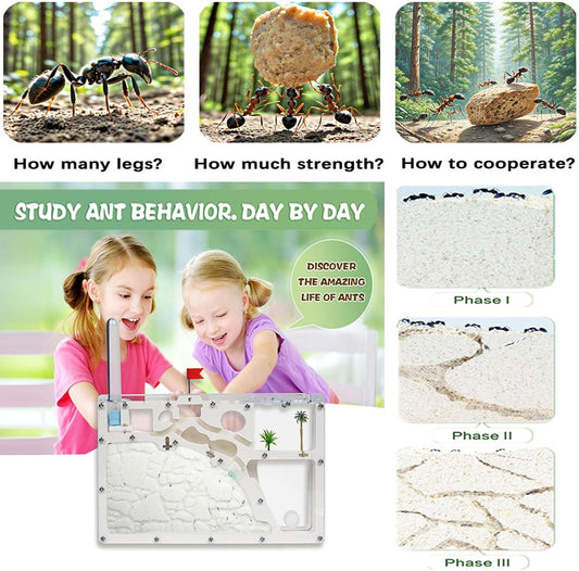 Ant Farm Castle - Large Viewing Area - Care for Live Ants - Ant Colony Observation Kits with Sand Habitat - Educational Science Gifts for Boys, Girls - Ant Farms for Kids, Adults