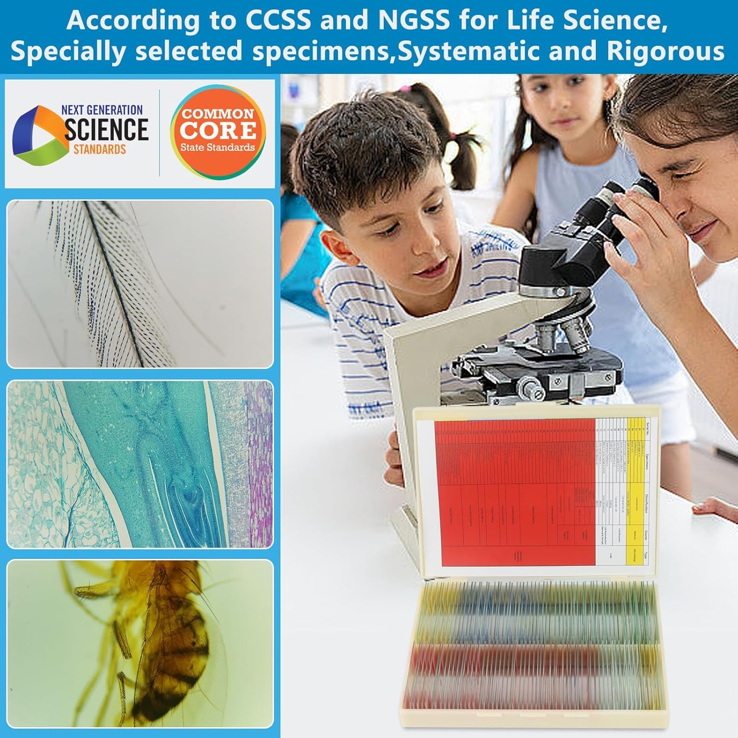Microscope Slides with Specimens for Kids, 30 Lab-Grade Prepared Microscope Slides, Animal Plant Microbe Cells, STEM Biology Kit for Kids Ages 6-8 Homeschool, Classroom Labs & Science Education