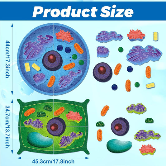 2 Set Giant Felt Animal and Plant Cell Anatomy Model Kits Early Biology Cell Model Life Science Toys Animal Plant Bacteria Science Kit for Boys Girls Classroom Educational Learning