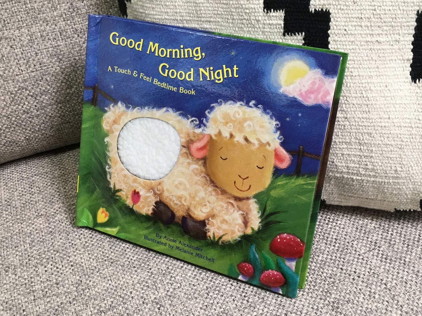 Piggy Toes Touch and Feel Storybook