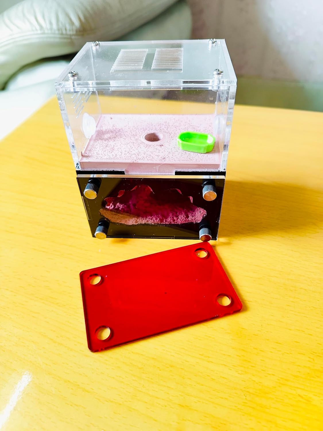 Ant Farm&Nest,House, Nest for ant Farm, Behavior Study House, Small Ant House.