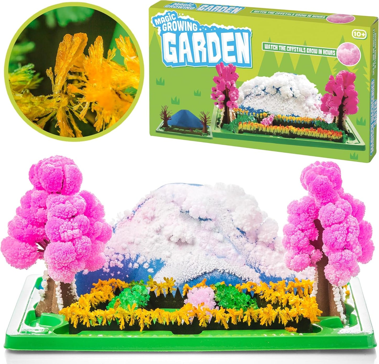 Tobar Magic Growing Garden Crystal Activity Kit, Multi-Colored