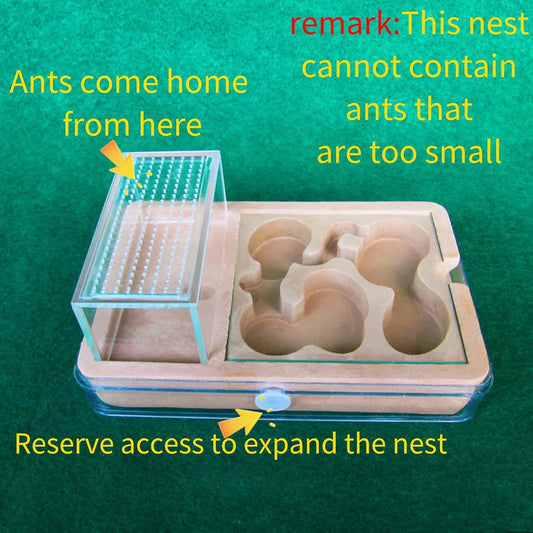 Ant Farm Ant House Adult ant Nursery Farm ant Behavior Research Ant nest Ant cage Education House for Live Ants and Queens Small Group breeding Suitable for Children and Lovers Gifts