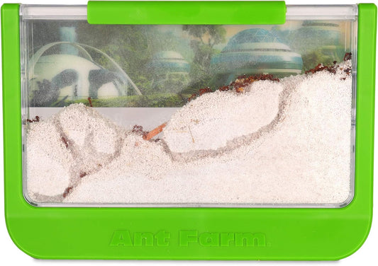 Uncle Milton Ant Farm Antopia Rainforest Ant Habitat - Observe Live Ants - STEM -Nature Learning Toy Green For 6 - 15 years