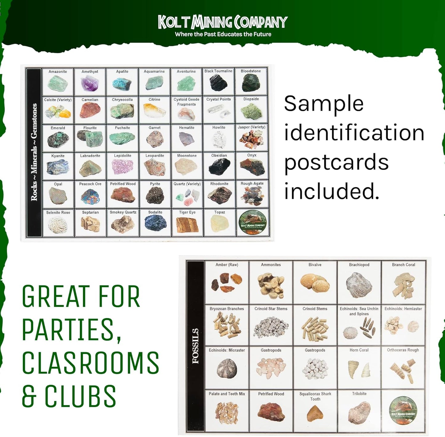 Activity Dig Kit - Adult Geology & Mineralogy Set - Includes Real Fossils, Arrowheads, Shark Teeth, Crystals, Rocks & Gemstones
