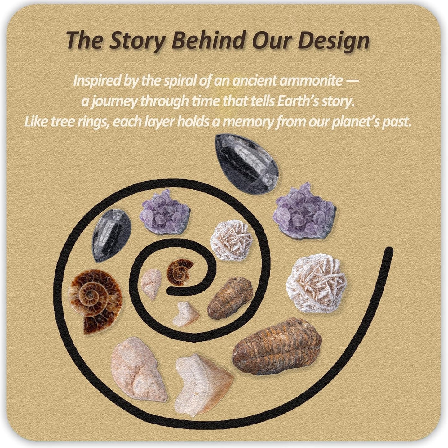 Gemstone and Fossil Dig Kit – Excavate 10 Gems and 10 Fossils, STEM Geology Set, Educational Toy, Science Kit for Kids Ages 8+