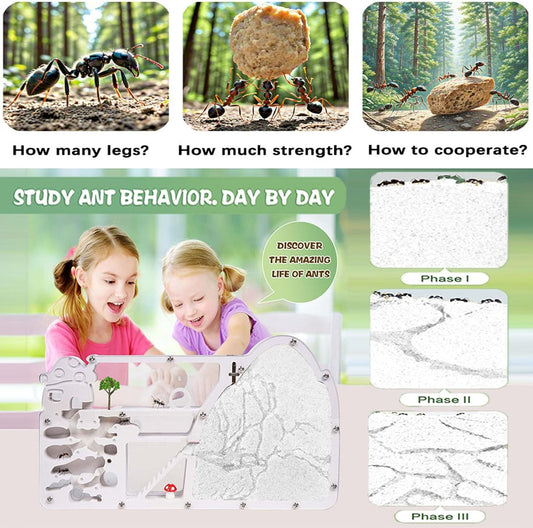 Ant Farm Castle - Large Viewing Area - Care for Live Ants - Ant Colony Observation Kits with Sand Habitat - Educational Science Gifts for Boys, Girls - Ant Farms for Kids, Adults, Student (White)