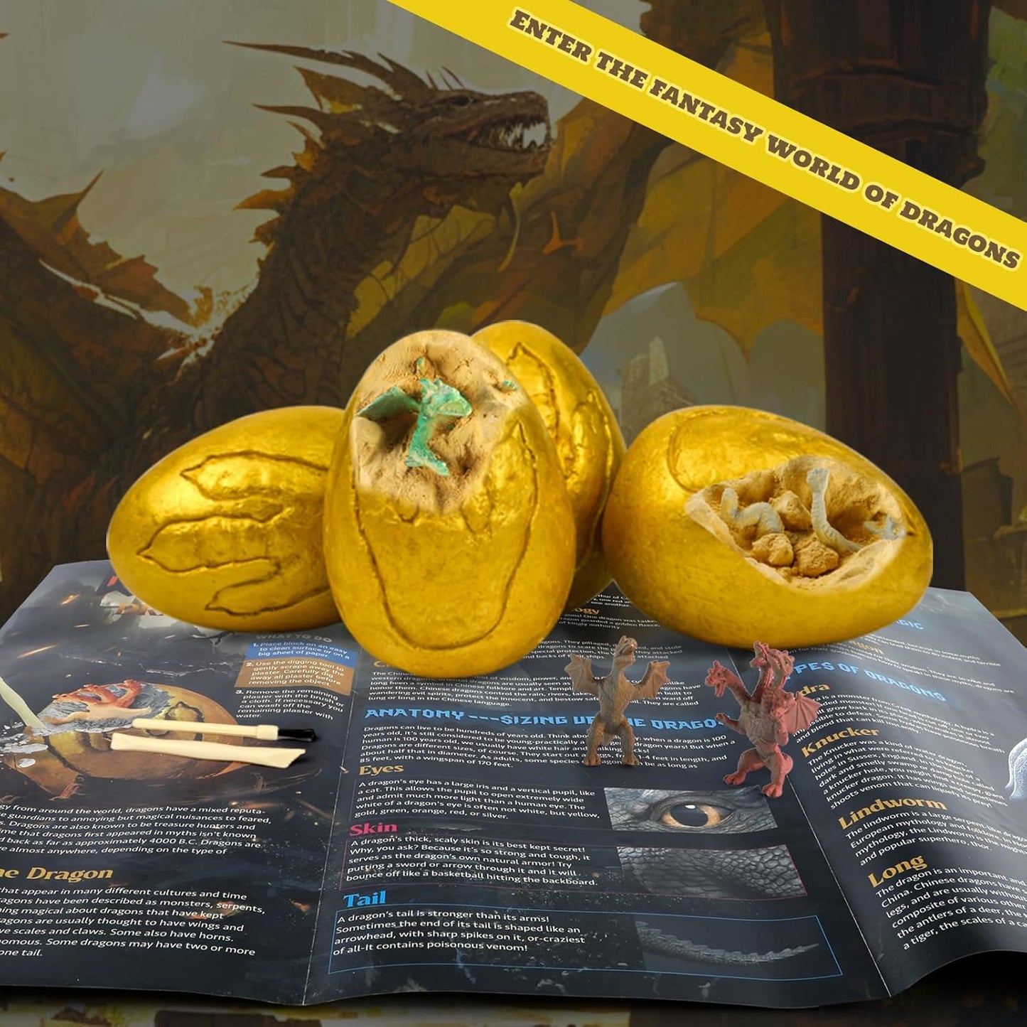 Dig a Dozen Dragon Egg Dig Kit-12 Pack Golden Dragon Eggs Excavation Science Toys with Tools & Mythical Learning Guide, Dragon Toys Gift 3-12 Year Old, Birthday Party Favors Gifts for Kids Boys Girls