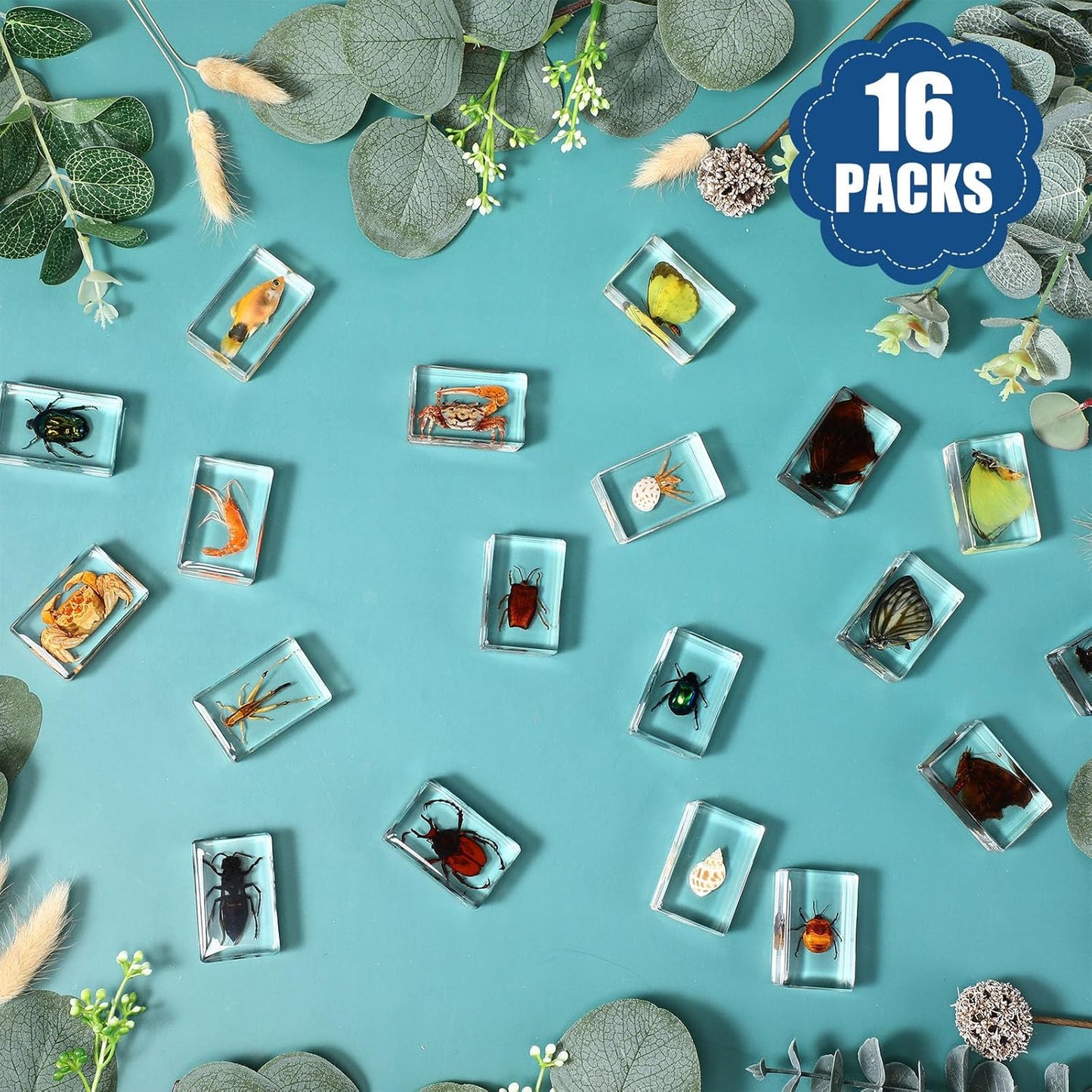 16 Pcs Ladybug Insect in Resin Specimen Butterfly Bugs Collection Paperweights,16 Styles Real Bug Specimen Bug Kit Preserved in Resin for Scientific Educational Display Supplies (Ladybug)