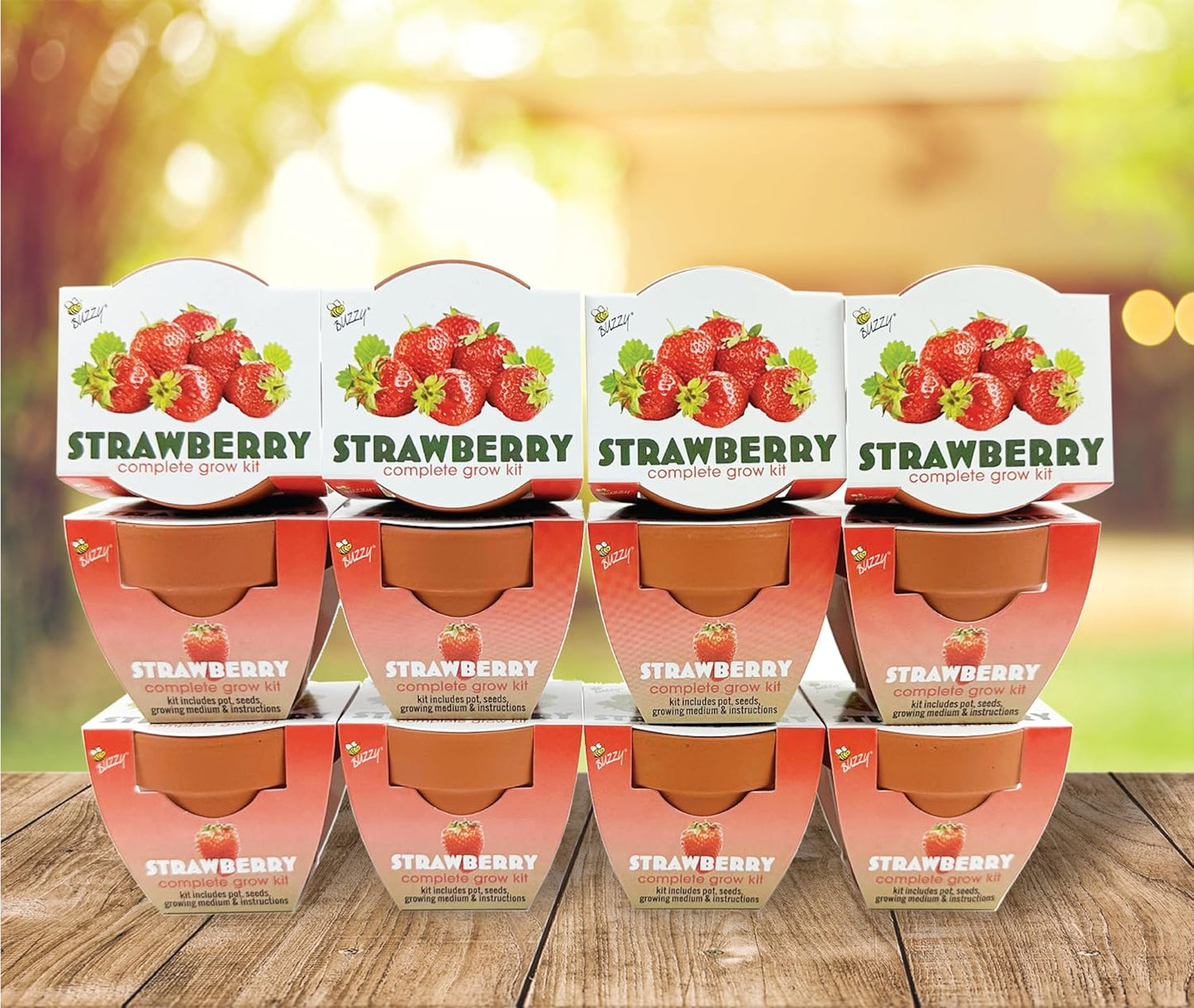 BUZZY Seeds 12-Pack Sunflower Mini Grow Pots – All-in-One Terracotta Flower Starter Kit with Growing Medium, DIY Gardening, Wedding and Shower Favors